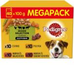 PEDIGREE tasakos eledel, húsválogatás zöldségekkel szaftban felnőtt kutyáknak, 40 × 100 g