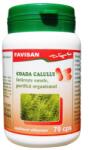 FAVISAN Coada Calului, 70 capsule, Favisan