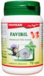 FAVISAN Favibil, 70 capsule, Favisan