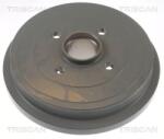 TRISCAN Tambur frana TRISCAN 8120 14224C (8120 14224C) - automobilus