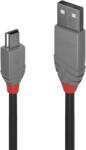 Lindy Cablu Lindy 3m USB 2.0 Type A to Mini B (LY-36724) - qwerty-vision