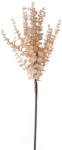 Valex Decor Eukaliptusz ág, 76cm magas - Bézs (AF171-02)