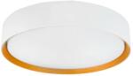 Nova Luce Plafoniera LED CCT cu protectie IP44 Binary Pro 24W, alb/ auriu (NVL-9540313)