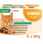 Iams Nedves macskaeledel Iams Delights Adult Land & Sea Collection MIX 8x85 g (8710255189123)