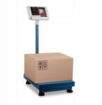 Steinberg Systems Tároló platform mérleg 40x50 cm 300 kg 50 g hálózati adapter akkumulátor (4905834449697)