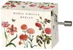 Fridolin Flasneta Maria Sibylla Merian - Flori, Fridolin