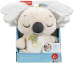 Mattel Jucarie Muzicala Koala (mtjbd65)
