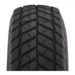 Waterfall Eco Winter 195/75 R16C 107/105R