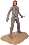 Dark Horse Deluxe Dune - Statuie din PVC Lady Jessica (22cm) (3008-147) (3008-147) Figurina