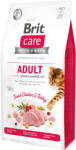 Brit Brit Care Cat Adult Activity csirke pulyka 400gr