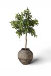 Botané decorativ 170 x 90 cm 99KK-DRUZIL_77X (BOT.TP.004)