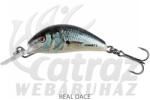 Salmo Hornet Floating 3.5cm 2.6g - Real Dace - Wobbler (QNT045)