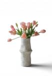Botané buchet artificial decorativ 47 x 18 cm 99KK-DRUZJT_30X (BOT.BOU.165)