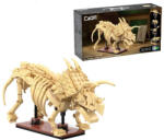 CaDA C59013W DINOSZAURUSZ FOSSÍLIA: Triceratopsz MODELL (C59013W)