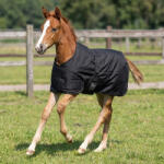 Harry's Horse Csikótakaró Istálló-FEKETE/KÉK