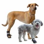  WalkinPets - Orteză cu talpă pentru câini (pentru membrele ante - ortopet - 666,70 RON