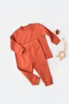 BabyCosy Set bluzita cu maneca lunga si pantaloni lungi - bumbac organic 100% - Scortisoara, BabyCosy (Marime: 12-18 Luni) (BC-CSY3029-12)