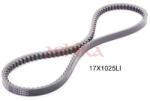 ASHIKA Curea transmisie ASHIKA 109-17X1025 (109-17X1025) - fixbox