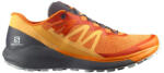 Salomon Sense Ride 4 férfi terepfutó cipő - (L41690700) Cipőméret: eu - 45+1/3, Lábfej szélesség: Széles lábfej Férfi futócipő