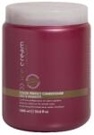 Inebrya Color Perfect mask 1 l