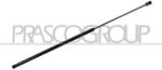 PRASCO Amortizor capota PRASCO AD8109003 (AD8109003) - automobilus