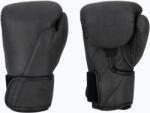 Hayabusa Mănuși de box Hayabusa T360 Leather black