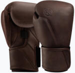 Hayabusa Mănuși de box Hayabusa T360 Leather brown