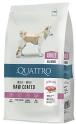 Quattro Dog Adult All Breed Lamb Raw Coated bárány 12 kg