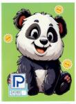 Paperland Caiet A5, incepatori, 24 file dictando/velin, hartie 80 g/mp, Paperland Premium (24000438)