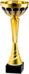  Cupa 25591 A