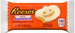Reese Reese's csokoládés tök mogyoróvajjal, fehér csokoládébevonattal, 34 g (27991)