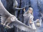 Prime 3D 3D puzzle Midnight Messenger 61x46cm 500el (670889104580)