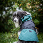 nrdogs Kutyakabát Ocean M 44 cm háthossz