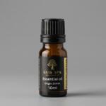 GAIA SPA Eukaliptusz illóolaj (EUCALYPTUS) GAIA SPA Objem: 10ml