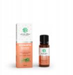 Topvet Rozmaring 100% illóolaj 10 ml Zöld ötlet (20-258)