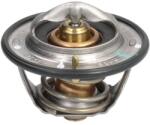 FPT Termostat Sistem Racire Carraro 100 F 100 Vl Ls P7040 Ls P7040 Cps Case Ih 4110 Clasic 4110 Et 4110 Profi 4110 Profi (504384724-FPT)