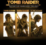 Crystal Dynamics Tomb Raider Definitive Survivor Trilogy (PC) Jocuri PC