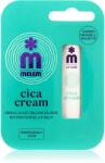 Melem Cica ajakbalzsam 4.5 g