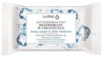 Luba Antiperspirant Wipes Fresh Scent and Cooling Effect illatosított nedves törlőkendők 15 db