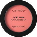  Catrice Blush Soft Blur 040