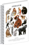 Presco Jegyzetfüzet ikerspirálos Animalium - Primates, négyzethálós, 21x29, 7cm A4, Presco (A-37267)