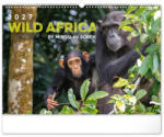 Realsystem Falinaptár képes 480x330mm Wild Africa Realsystem 2027 (6094-WA)