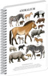 Presco Jegyzetfüzet ikerspirálos Animalium - Perissodactyls, négyzethálós, 14, 8x21cm A5, Presco (A-37270)