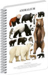 Presco Jegyzetfüzet ikerspirálos Animalium - Bears, sima, 14, 8x21cm A5, Presco (A-37276)