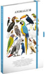 Presco Keménytáblás notesz krémszínű lapokkal, vonalas, leszorító gumiszalaggal Animalium - Birds 130x210mm, Presco (5416-ANBI)