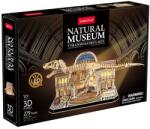 CubicFun Puzzle 3D din lemn Cubic Fun din 279 de piese - Schelet de T-Rex, cu lumini LED (L546h)