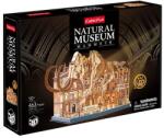 CubicFun Puzzle 3D din lemn Cubic Fun din 463 de piese - Schelet de mamut, cu lumini LED (L547h)