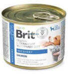 Brit Brit GF VD Dog / Cat 200gr Recovery lábadozás