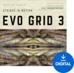 Spitfire Audio Evo Grid 3 (Produs digital)