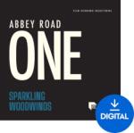 Spitfire Audio Abbey Road One: Sparkling Woodwinds (Produs digital)